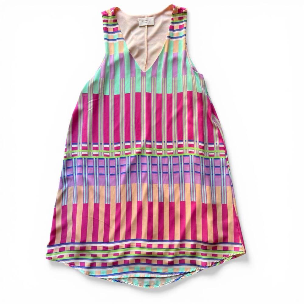Everly Sleeveless V-Neck Colorful Geometric Striped Mini Shift Tunic Dress